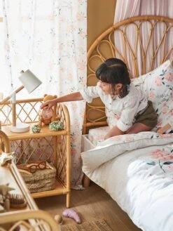 Sheer Curtain, Eau De Rose